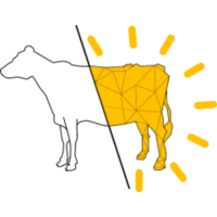 L3D Logo